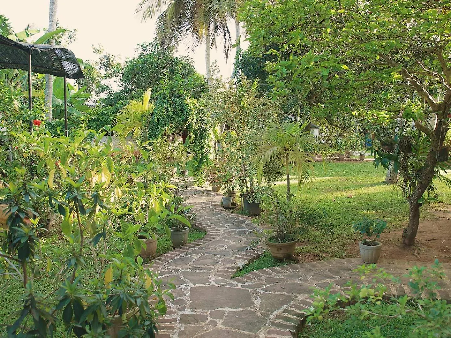 Preethi Village Rooms Negombo Sri Lanka