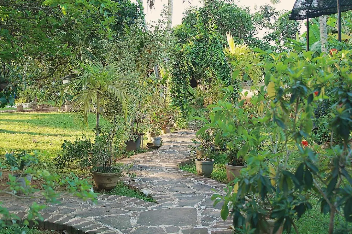 Preethi Village Rooms Negombo 0*,